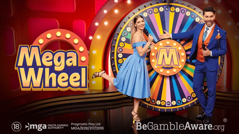 mega wheel bangladesh বাংলাদেশ গাইড